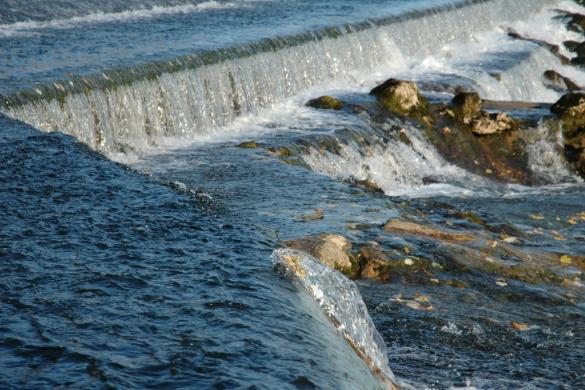 Cours d'eau Ain (l’), Ain 01