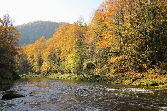 Brive d'aval, la Bienne, Lavans-les-Saint-Claude, Jura, Franche-Comté